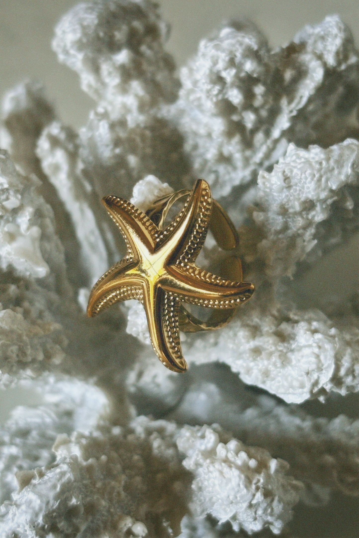 STARRY GOLD