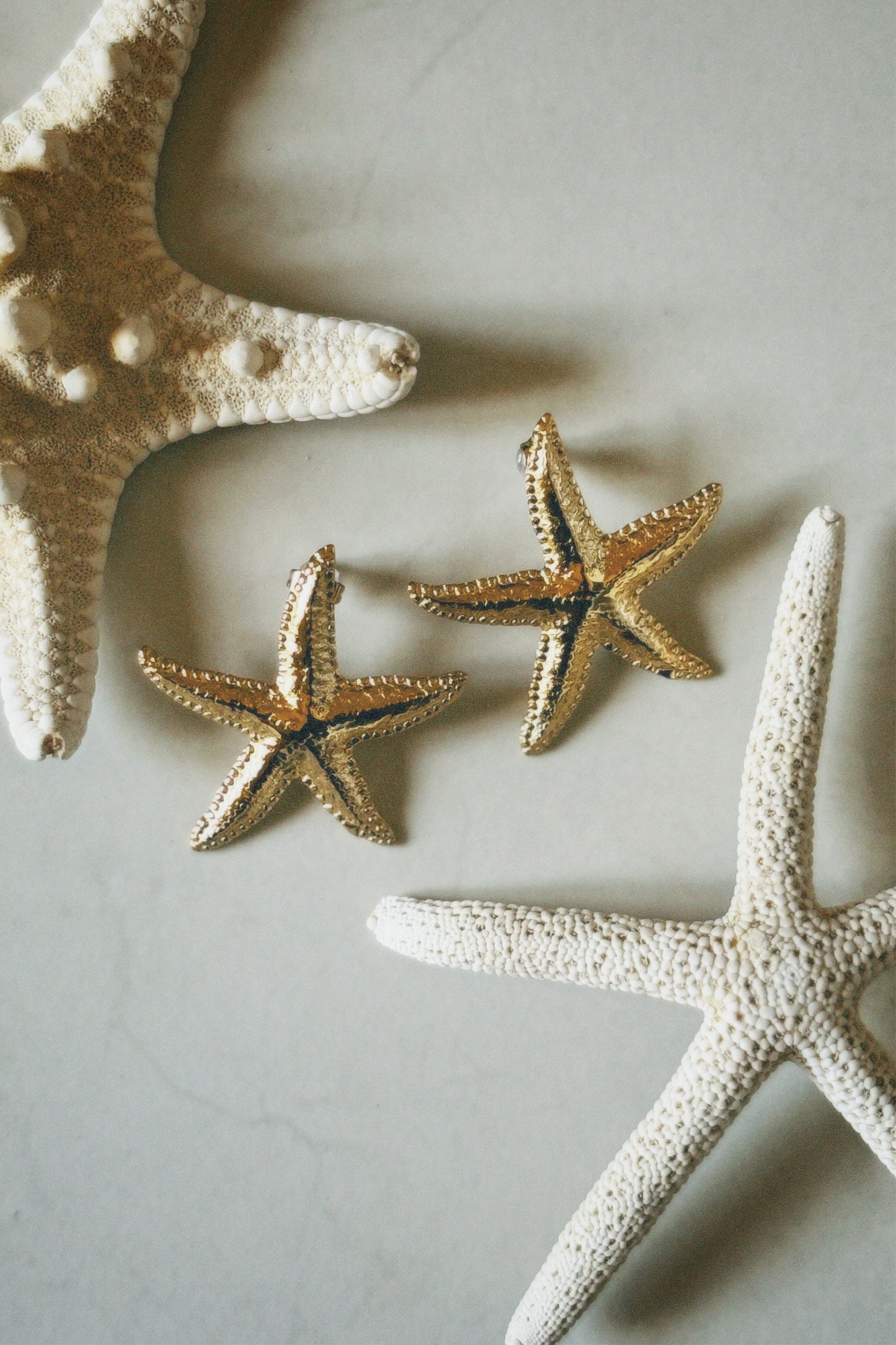OCEAN TWINKLE