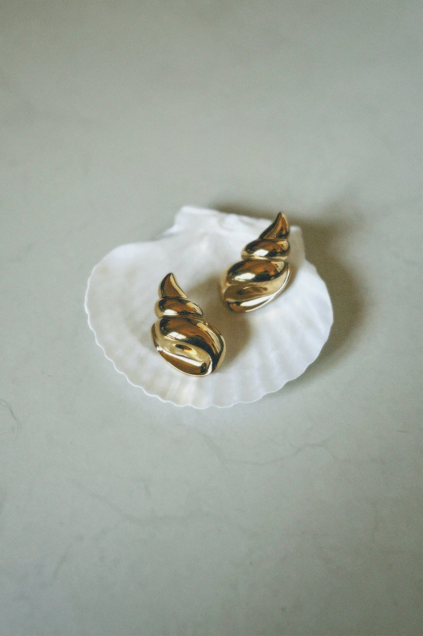 SPIRAL SHELL