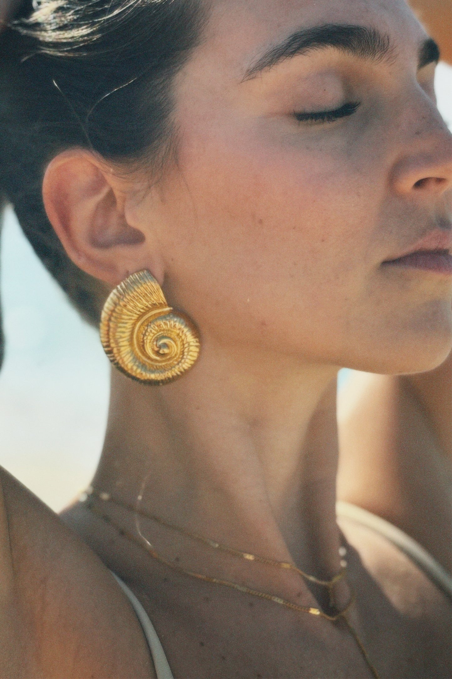 GOLDEN CONCH