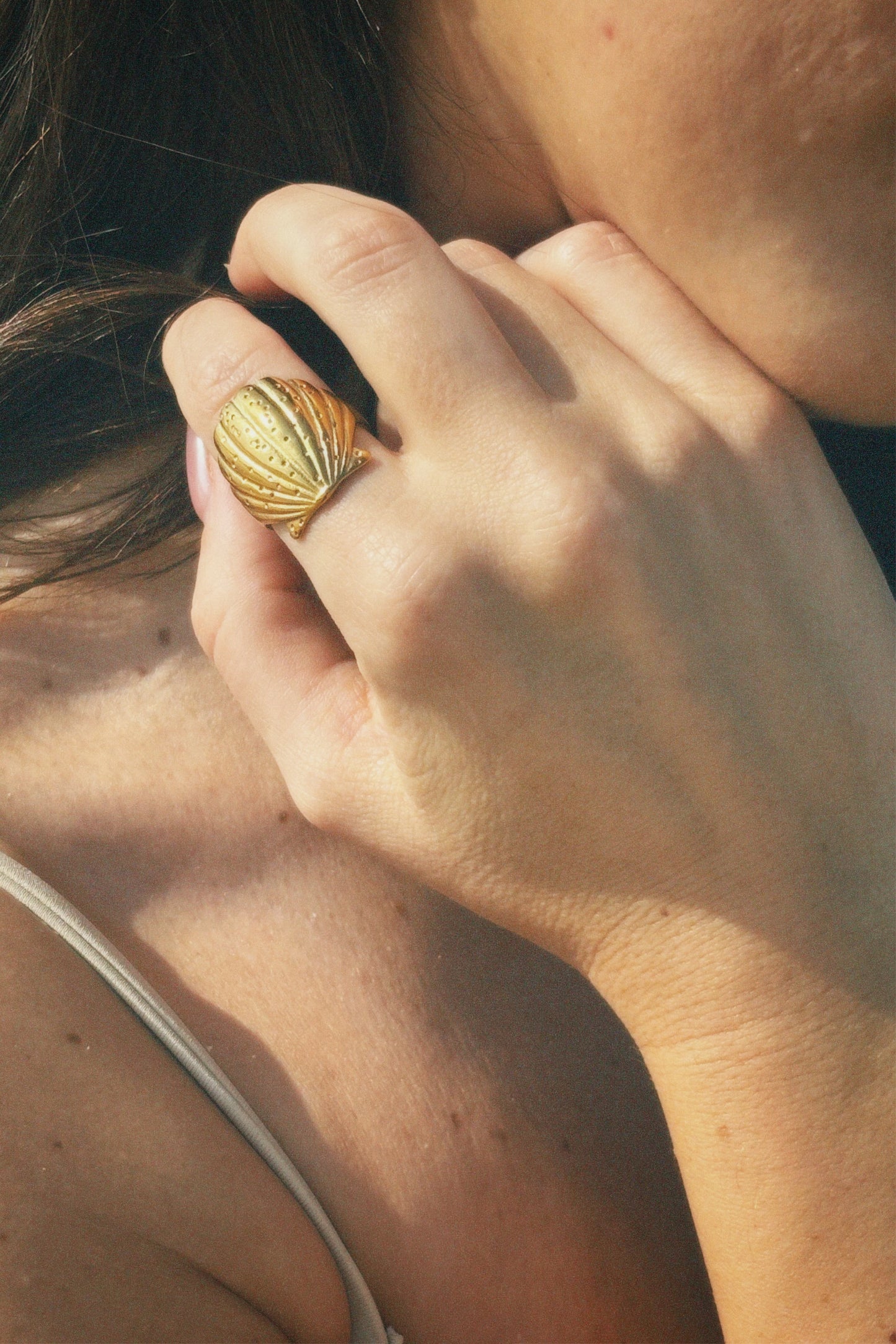 SEASHELL